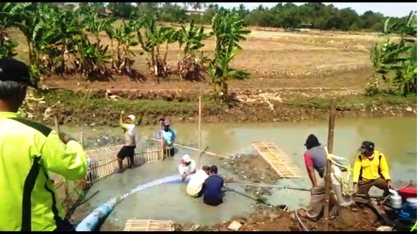 Gotong Royong Pompa Air untuk Sawah, Antisipasi Gagal Tanam di Musim Kemarau