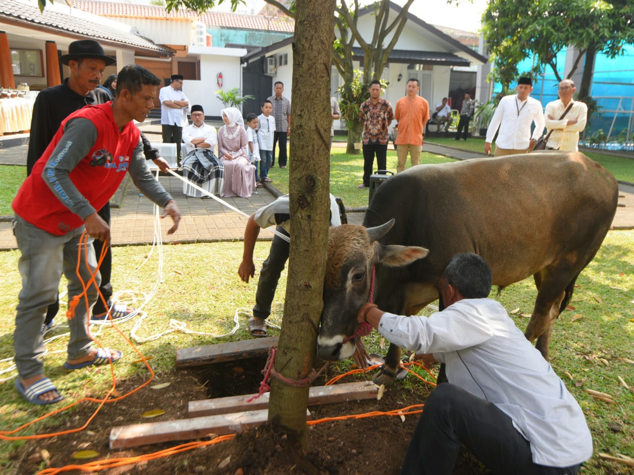 Pelaksanaan Kurban di Rumah Dinas Gubernur Jabar