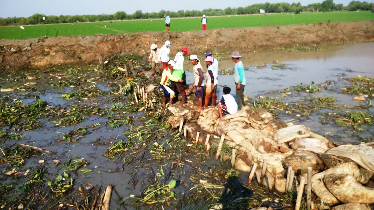 Sungai Batang Gede Dinormalisasi, Petani Ingin Pintu Air Pembagi