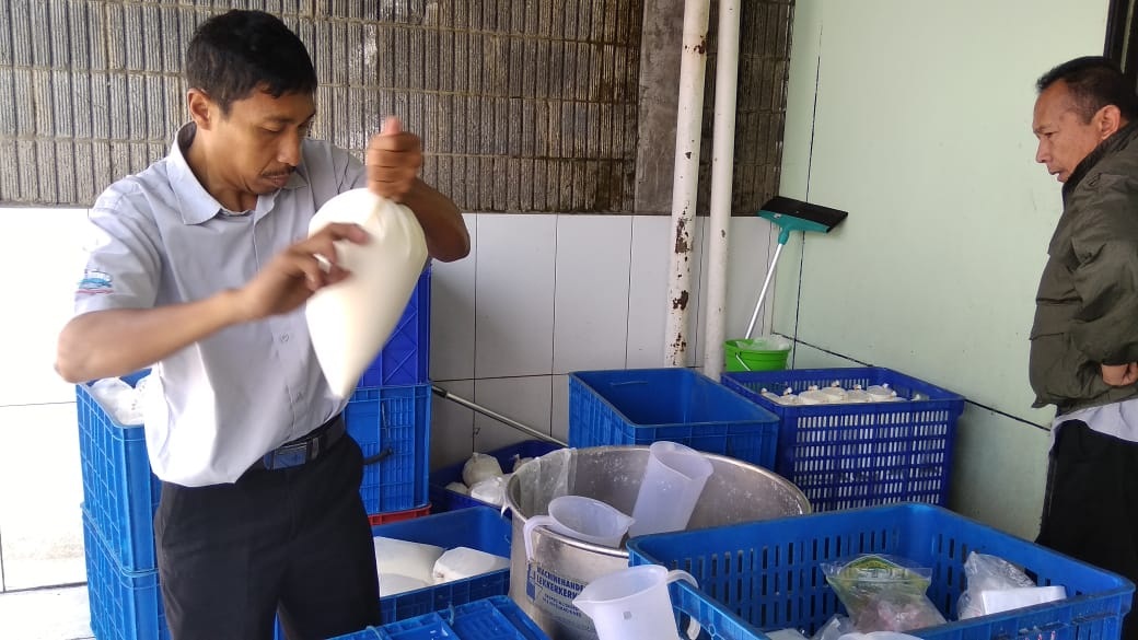 Kurang Pakan dan Kemarau Panajang, Produksi Susu Menurun Hingga 10 Persen