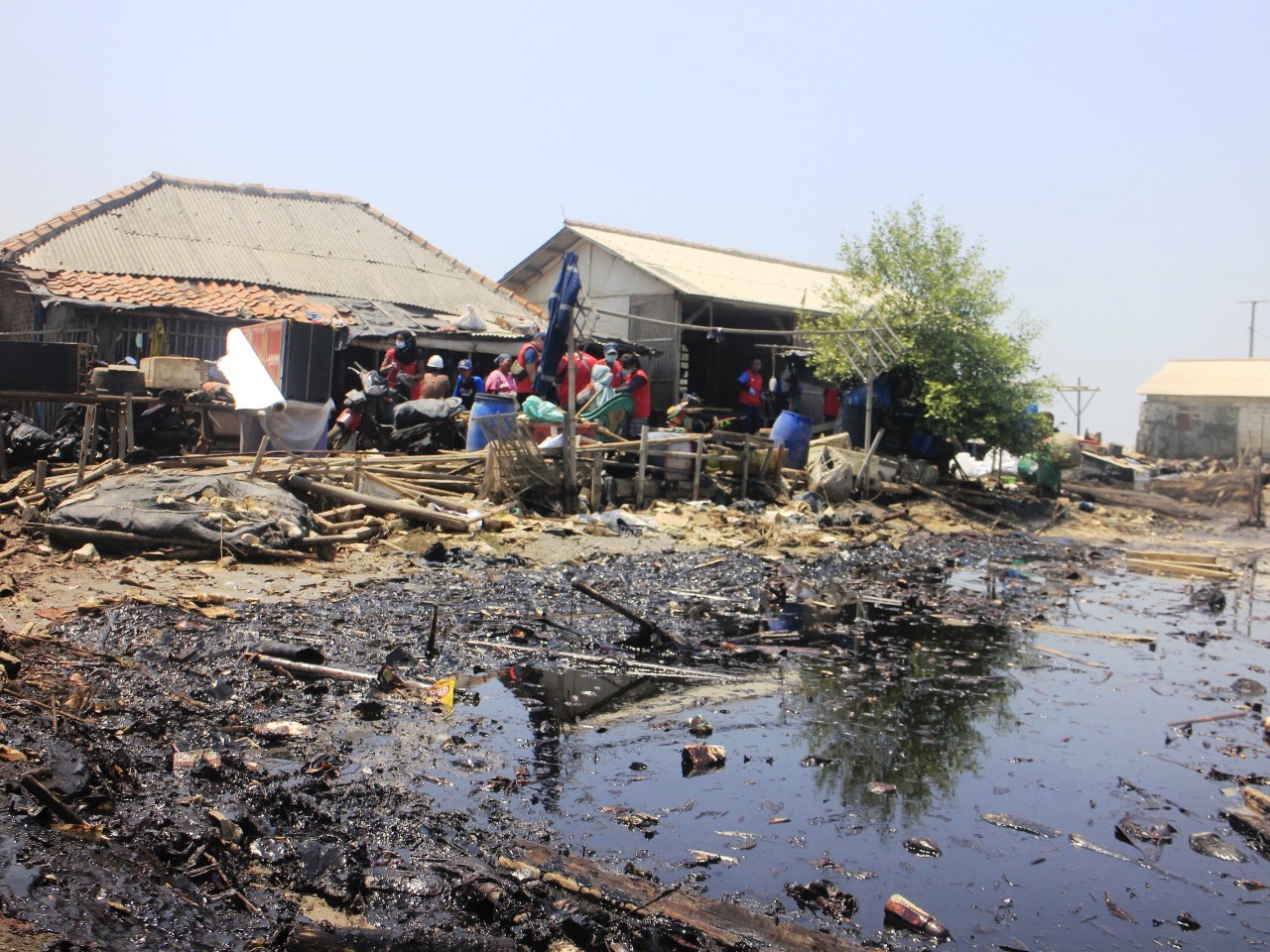 10 Ribu Warga Pesisir Terdampak Tumpahan Minyak