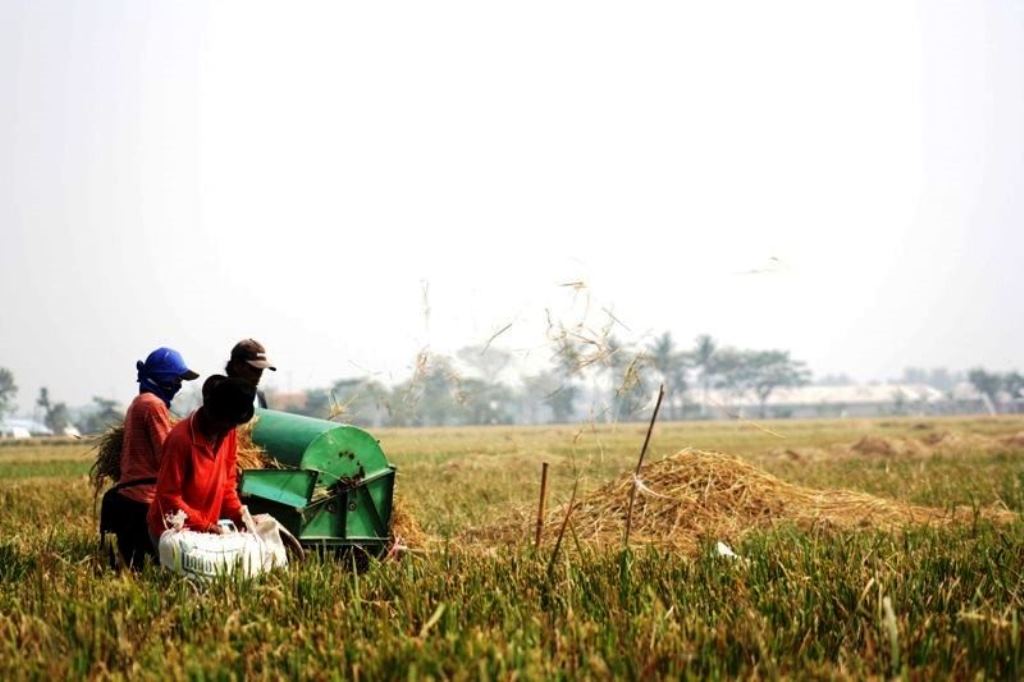 Alih Fungsi Lahan Masih Terjadi, Harus Tetap jadi lumbung Padi