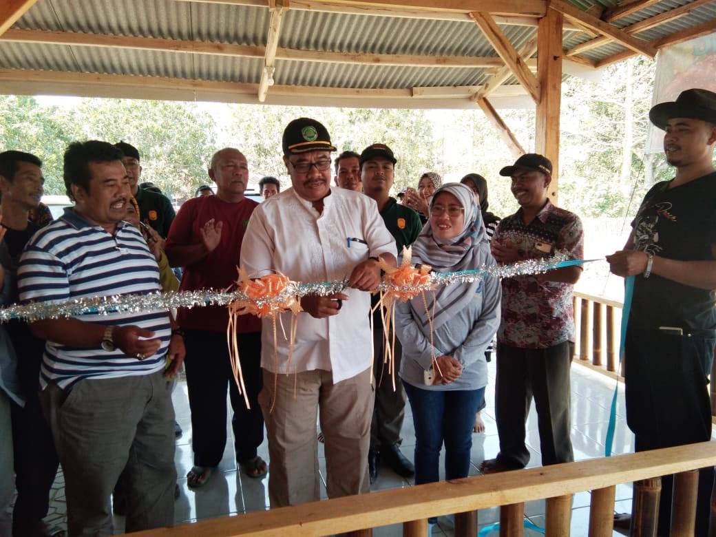 Tangkap Peluang Proyek Patimban