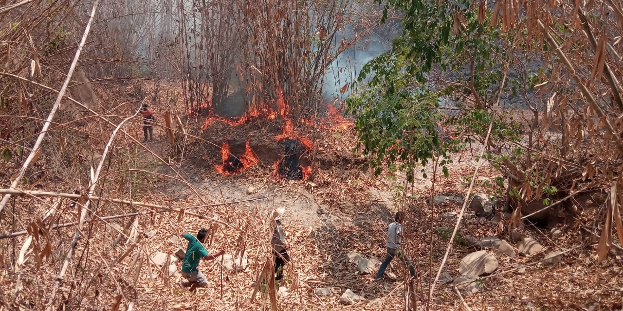 BPBD Siagakan Personel di Lokasi Kebakaran Hutan