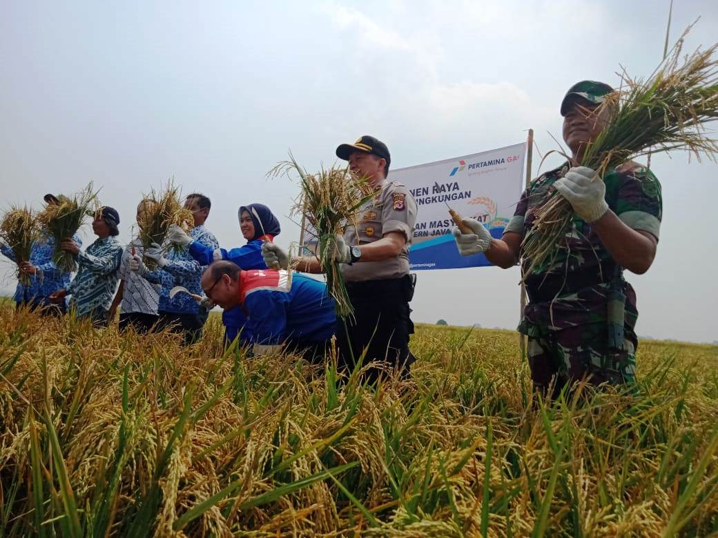 Pertagas WJA bersama Gapoktan Saluyu Kembangkan Pertanian Ramah Lingkungan