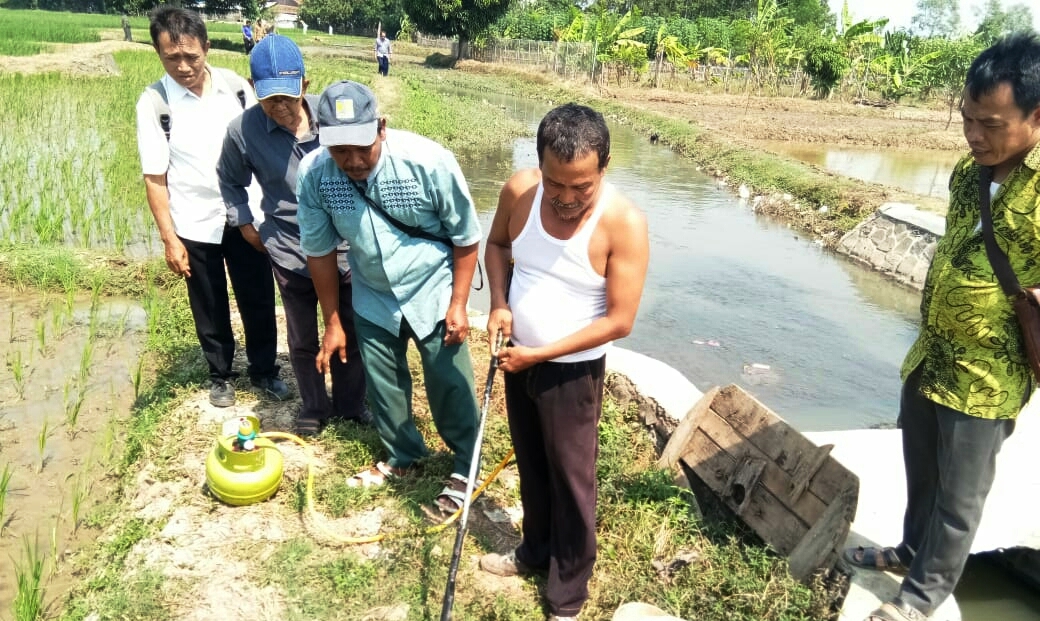 Masuki Musim Hujan, Waspada Hama Tikus