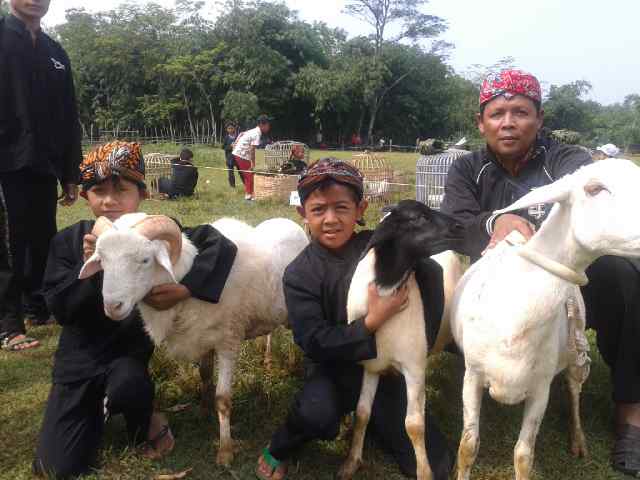 Budak Angon Kembangkan Entrepreneur