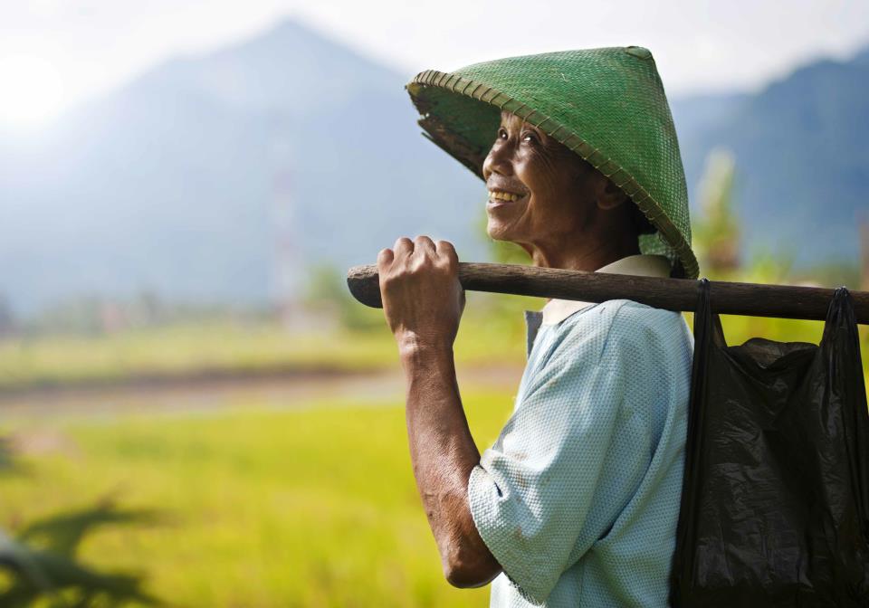 Produsen yang Tak Mampu Menentukan Harga adalah Petani