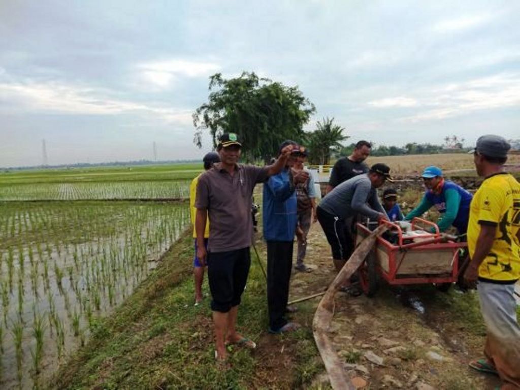 Diprediksi Desember, Lahan Pertanian Pusakanagara Bakal Mulai Olah Tanah