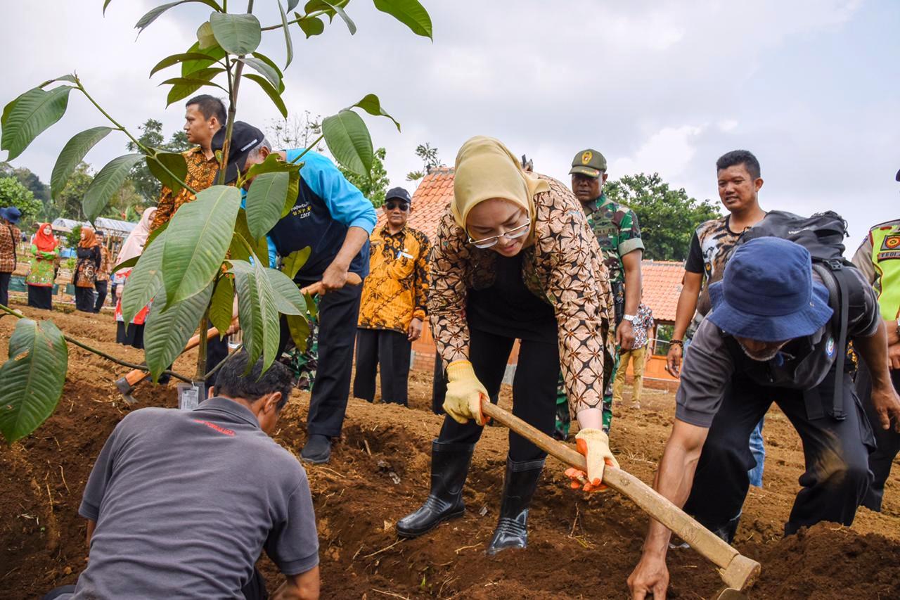 Pemkab Purwakarta Siapkan Lahan untuk Penelitian Buah Manggis