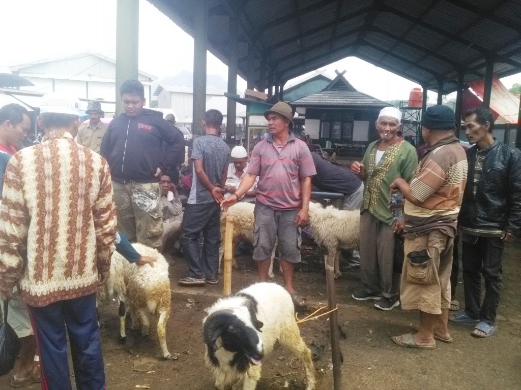 Pembenahan Pasar Citeko Molor, Dampak Tumpang Tindih Intansi