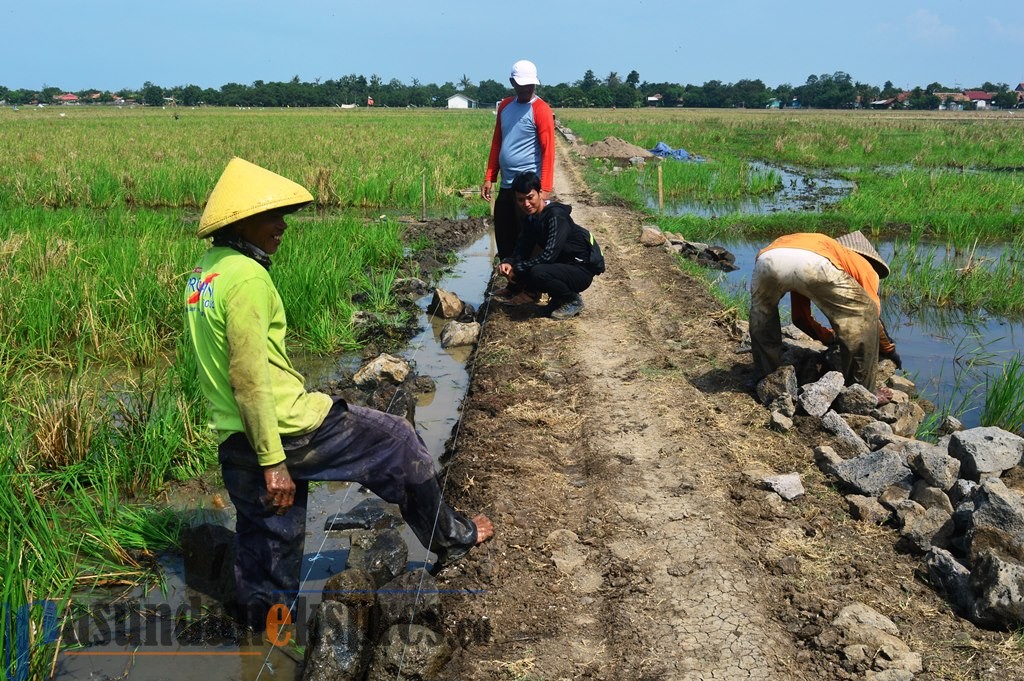 Dana Desa Tahap III Cair, Realisasikan Bangun TPT