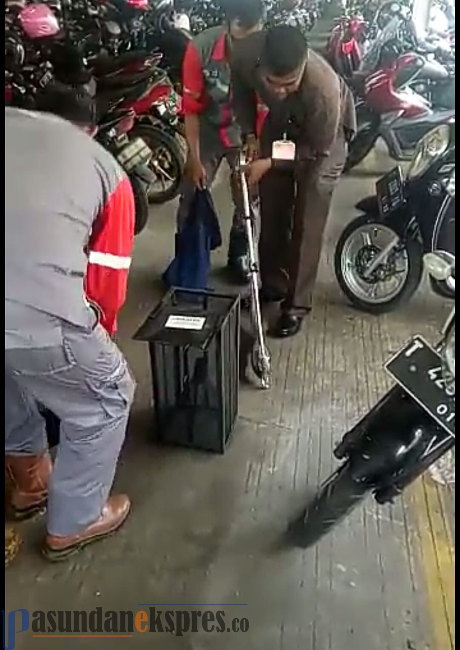 Buruh Panik, Ular Kobra Masuk PT Taekwang