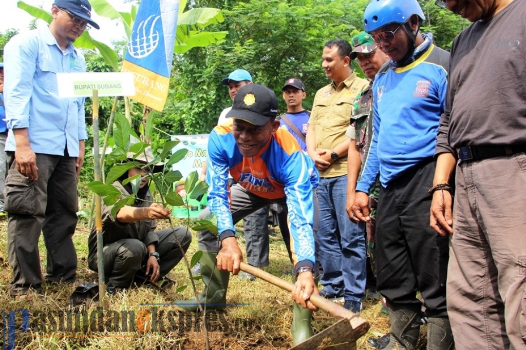 Penanaman Pohon 2019, Upaya Lestarikan Lingkungan