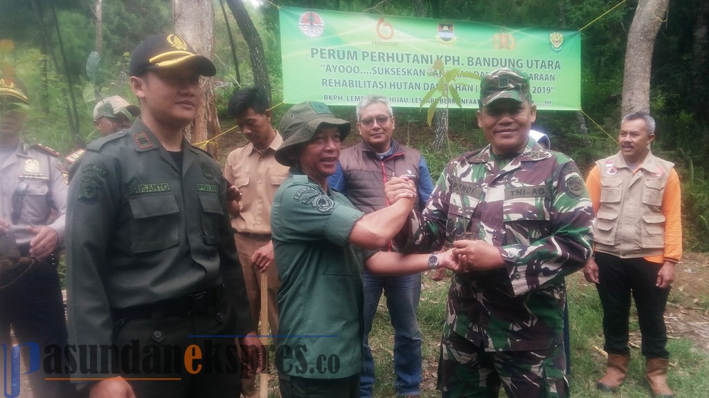 Hutan Lindung Ditanami 20.558 Bibit Pohon