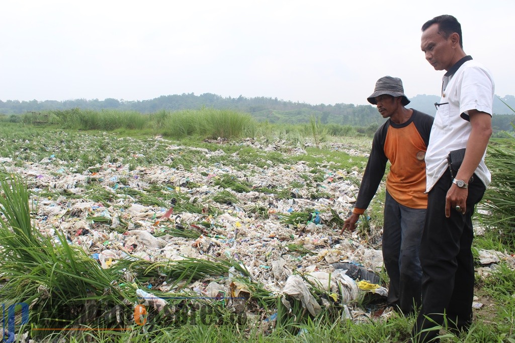 40 Hektare Sawah Tertutup Sampah TPA Panembong