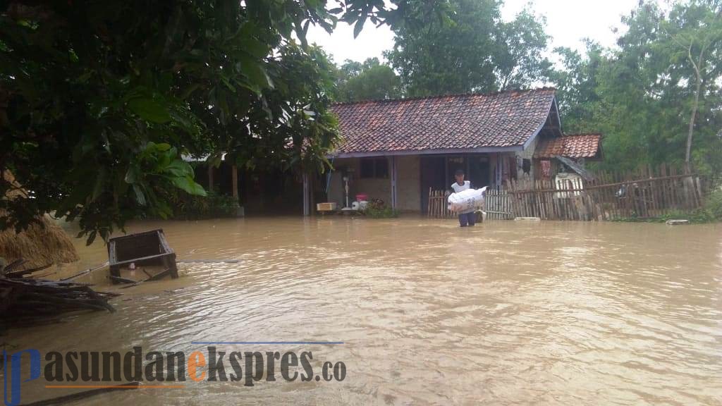 Ribuan Hektare Sawah Terancam Gagal Panen