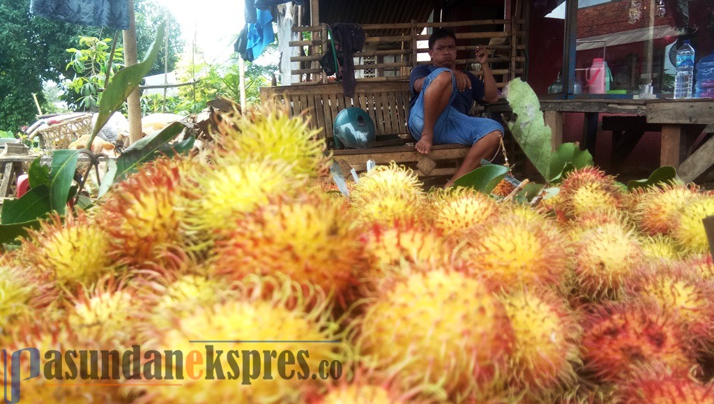 Cuaca Ekstrem Pengaruhi Harga Rambutan