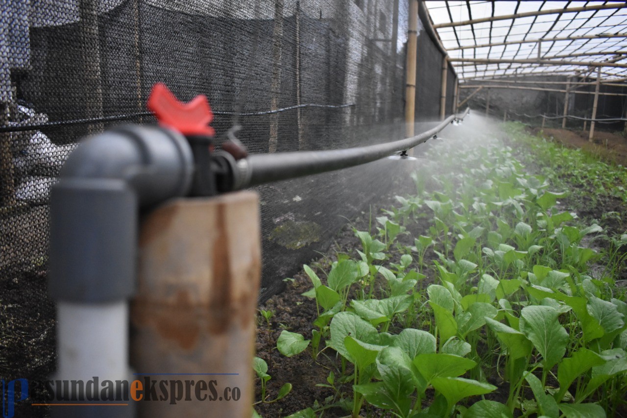 Canggih, BLK Lembang Berhasil Ciptakan Teknologi Smart Farming Berbasis Android