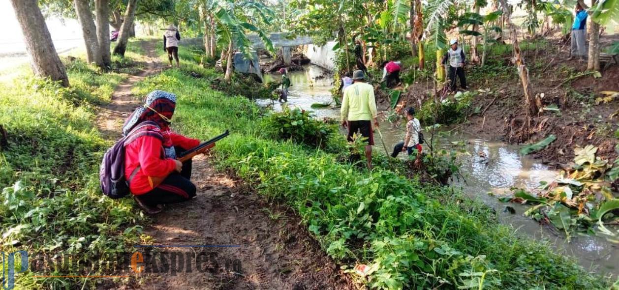 Jelang Masa Tanam, Petani Basmi Hama