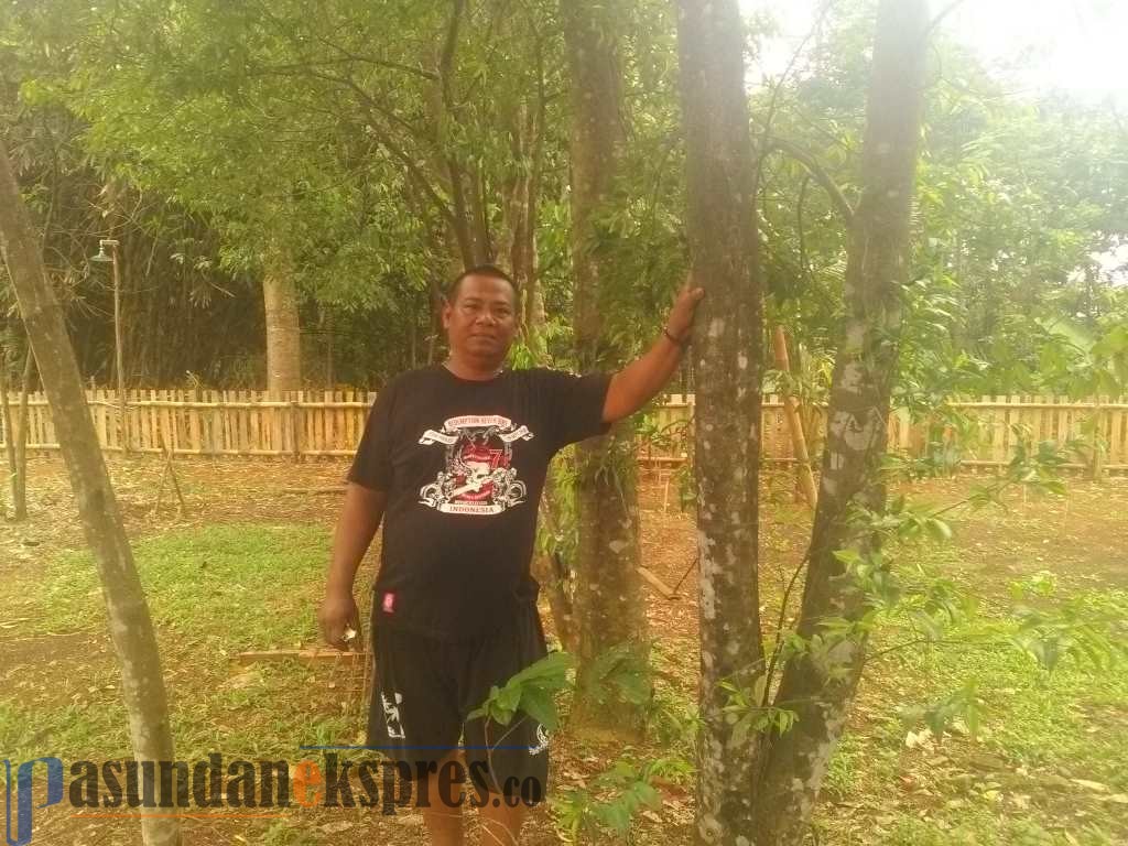 Miliki 10 Pohon Gaharu, Erlan Bisa jadi Jutawan