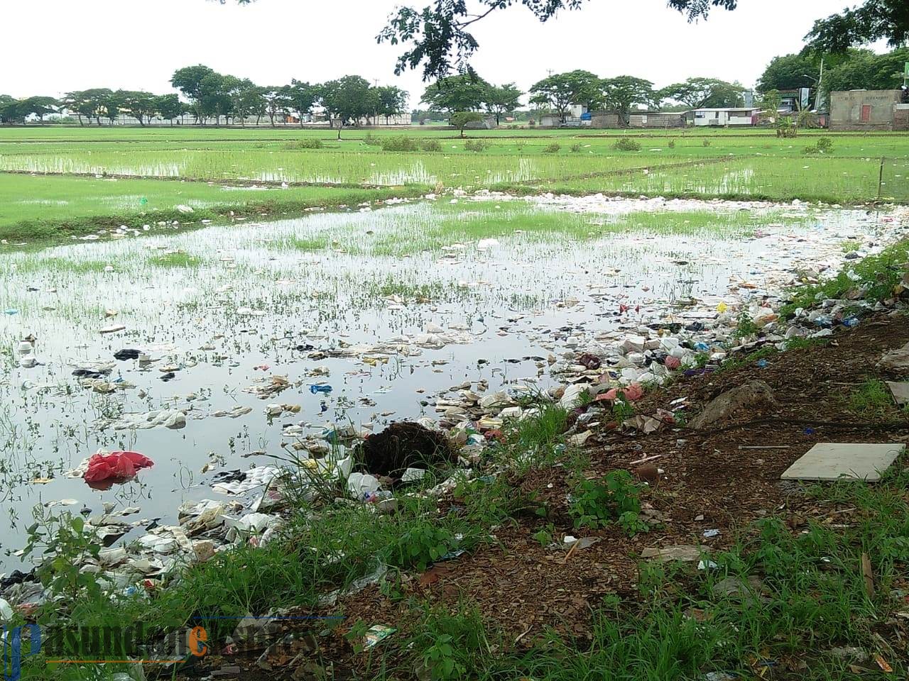 Sampah Berserakan ke Sawah dan Badan Jalan