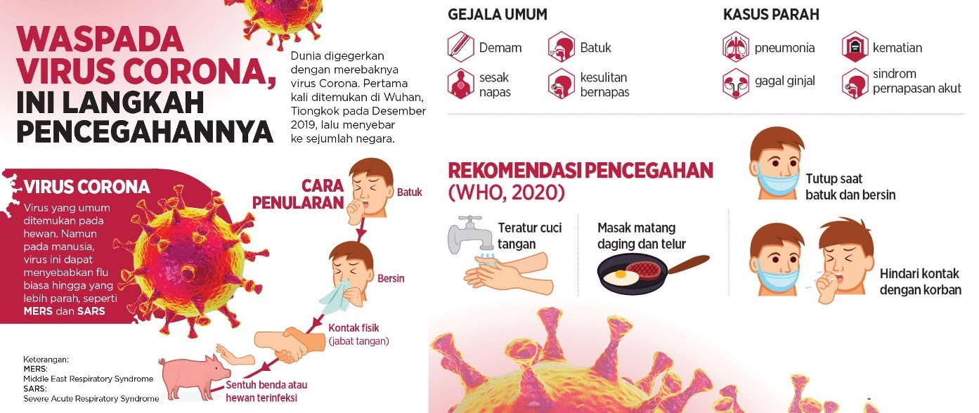 Dinkes Pastikan Tidak Ada Virus Corona