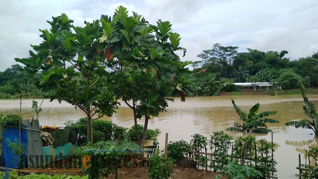 Ketinggian Air Citarum Naik, Warga Mulai Waspada