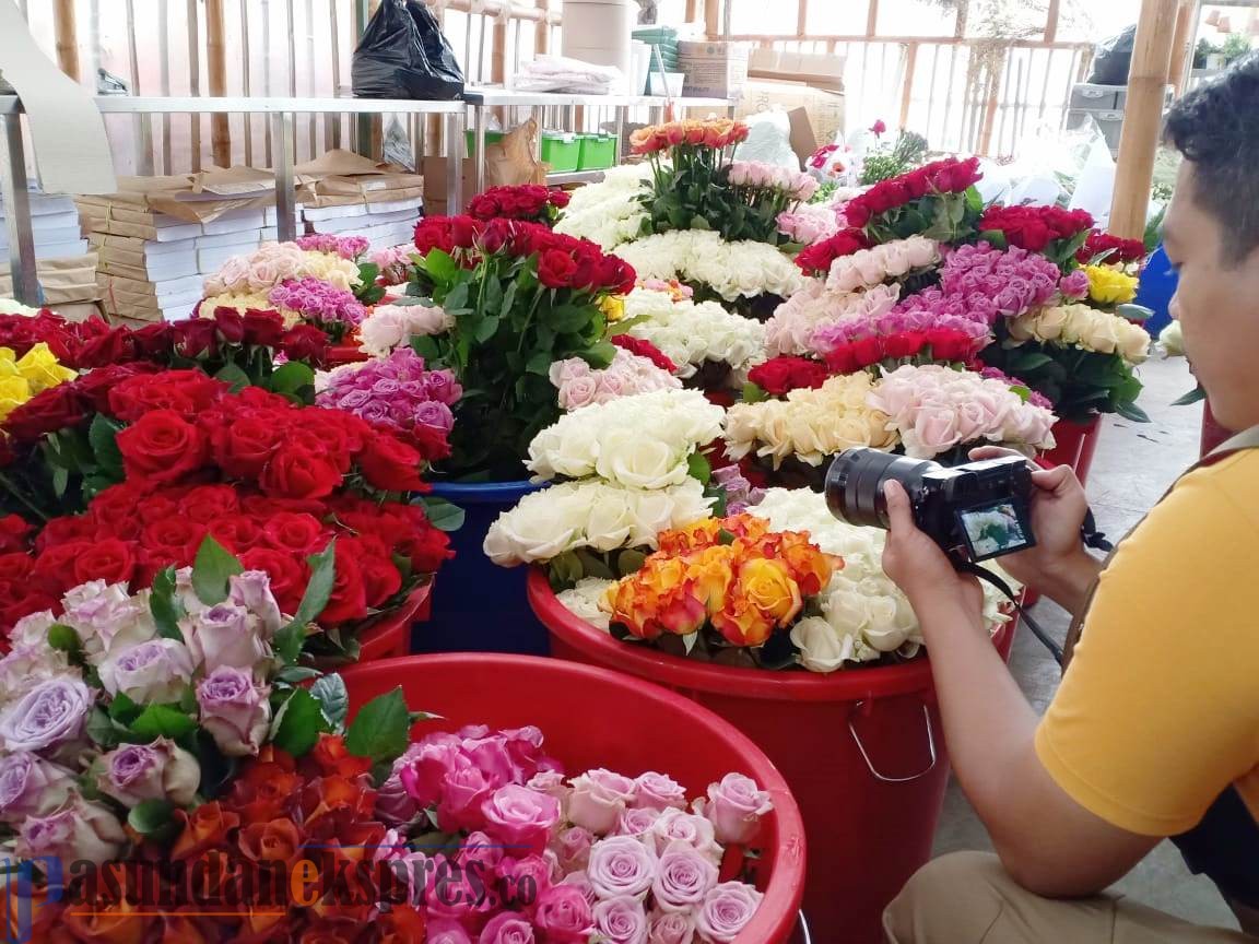 Jelang Valentine, Permintaan Bunga Mawar Meningkat