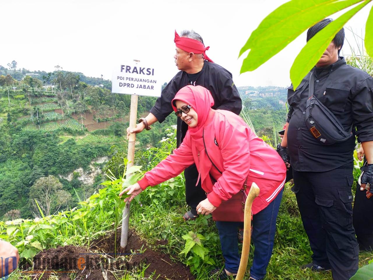 PDI Perjuangan Serentak Tanam Pohon