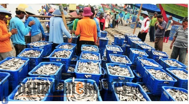 Banyak Rumah Makan Tutup, Harga Ikan Laut Anjlok