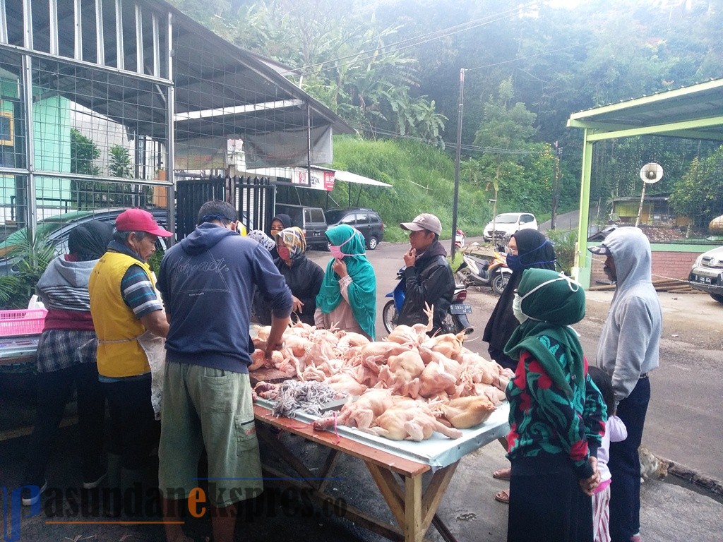 Daging Ayam Jadi Pilihan Alternatif, Permintaan Hingga 18 Ton Per Hari