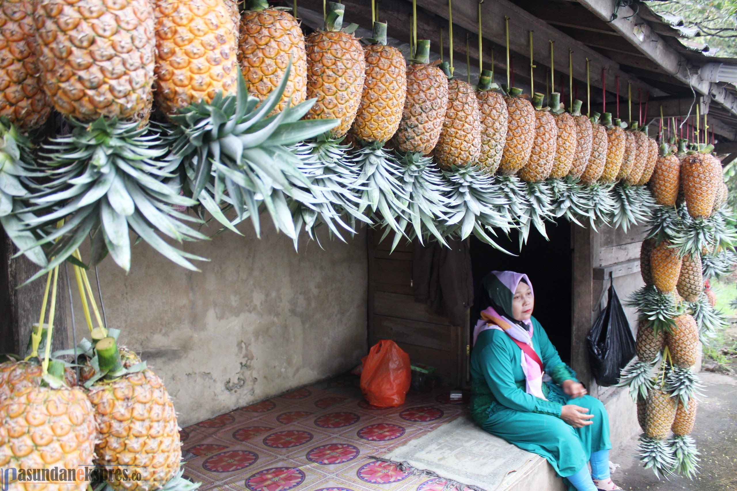 Keluh Kesah Pedagang Nanas Lebaran Tahun Ini, Barang Masih Banyak, Pembeli Tidak Ada