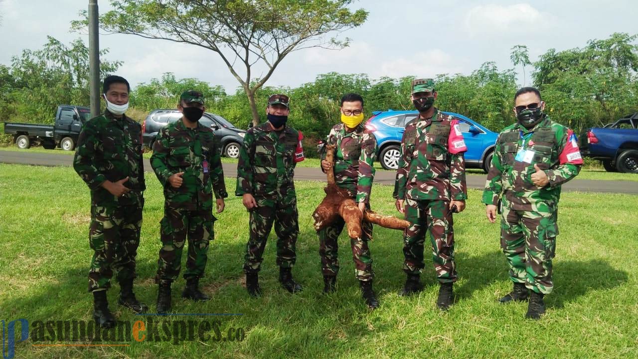 Buka Lahan Ketahanan Pangan Ditengah Wabah Covid-19