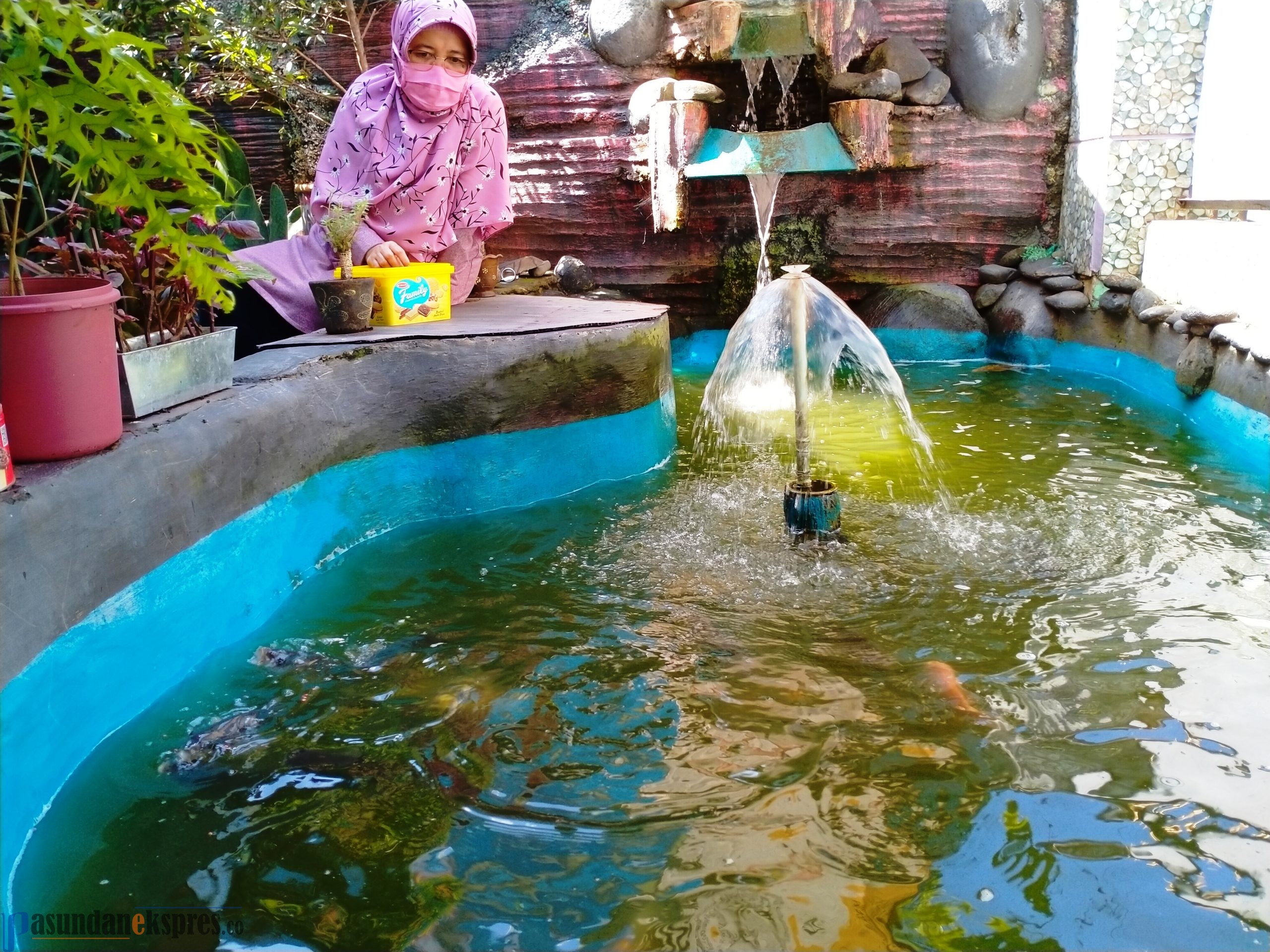 Selama Pandemi, Masyarakat Diminta Tingkatkan Ekonomi, Manfaatkan Halaman Rumah