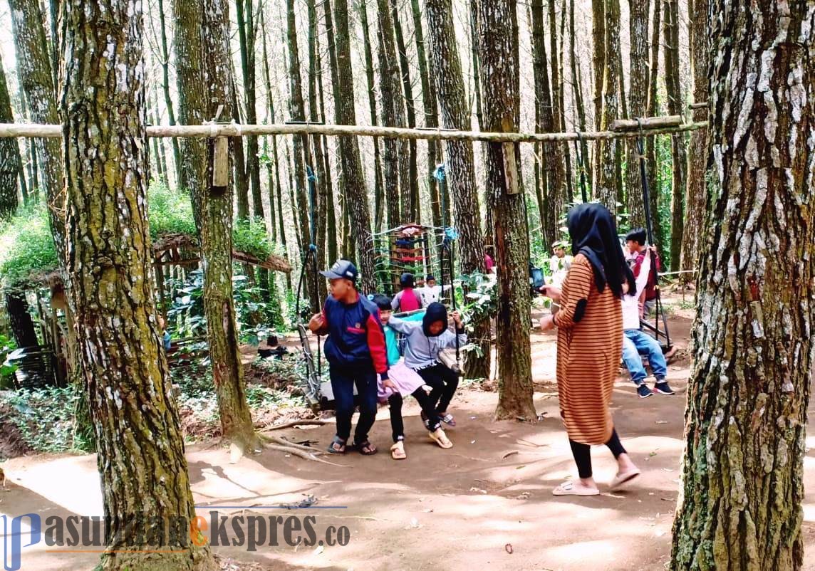 Kawasan Hutan Perhutani Jadi Tujuan Rekreasi