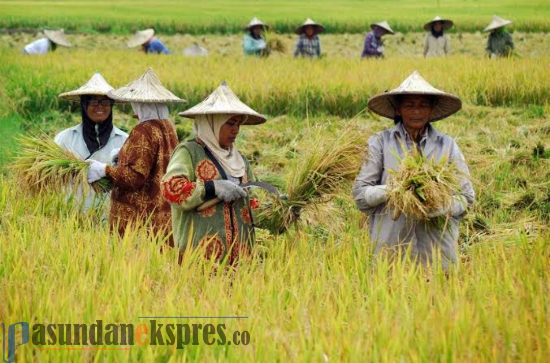 Teknologi Informasi Geospasial Makin Diperlukan untuk Menentukan Kebijakan Ketahanan Pangan