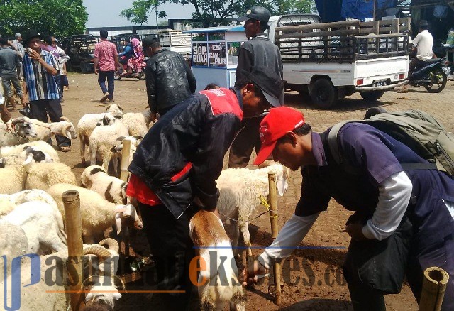 Dinas Peternakan dan Perikanan Purwakarta