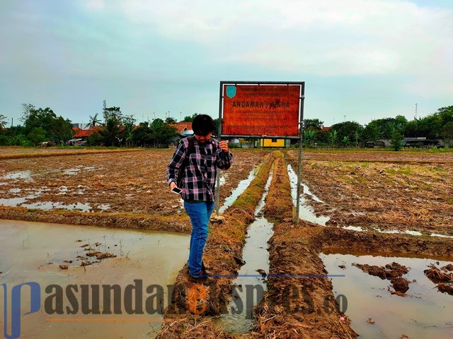 Desa Rancahilir Kecamatan Pamanukan