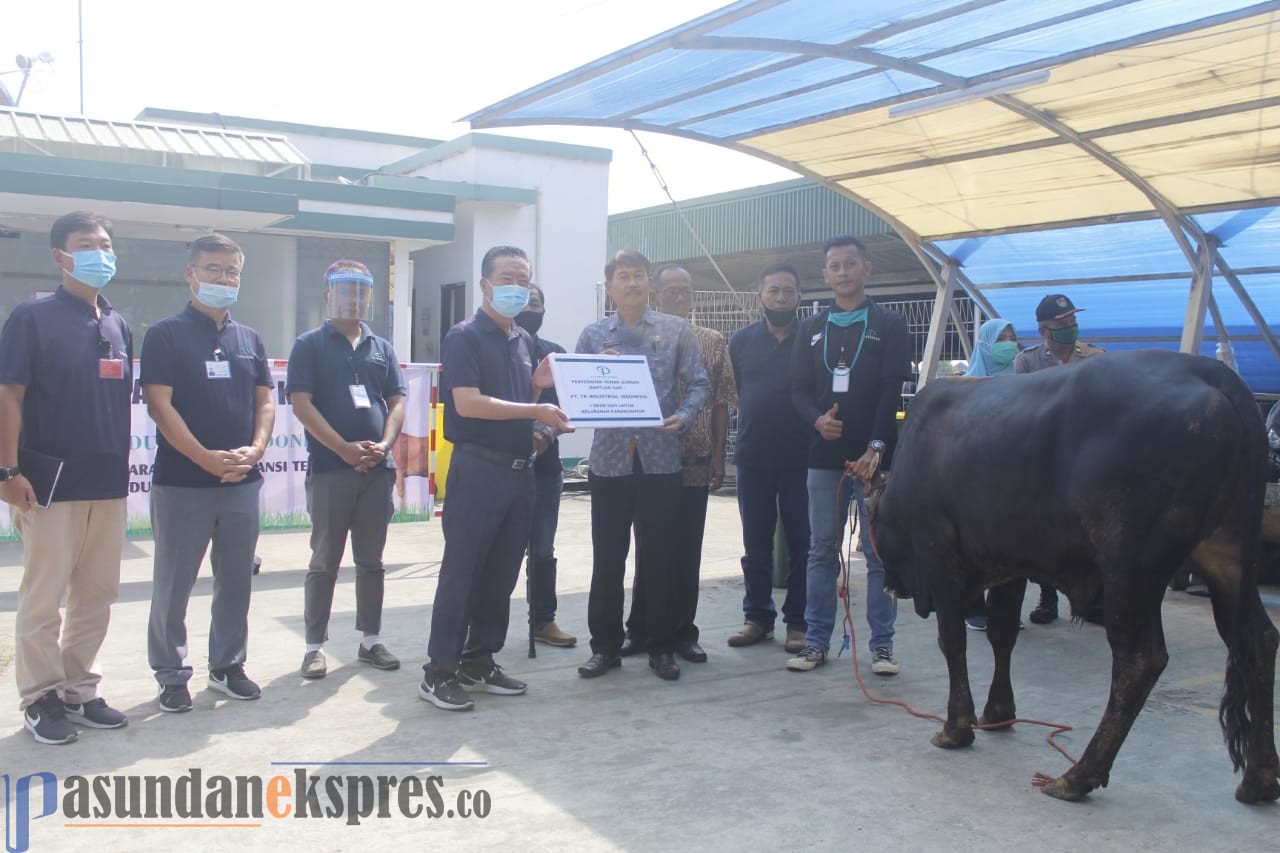 PT TK Industrial Berbagi Hewan Qurban