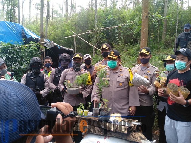 Lahan subur di Bandung Utara