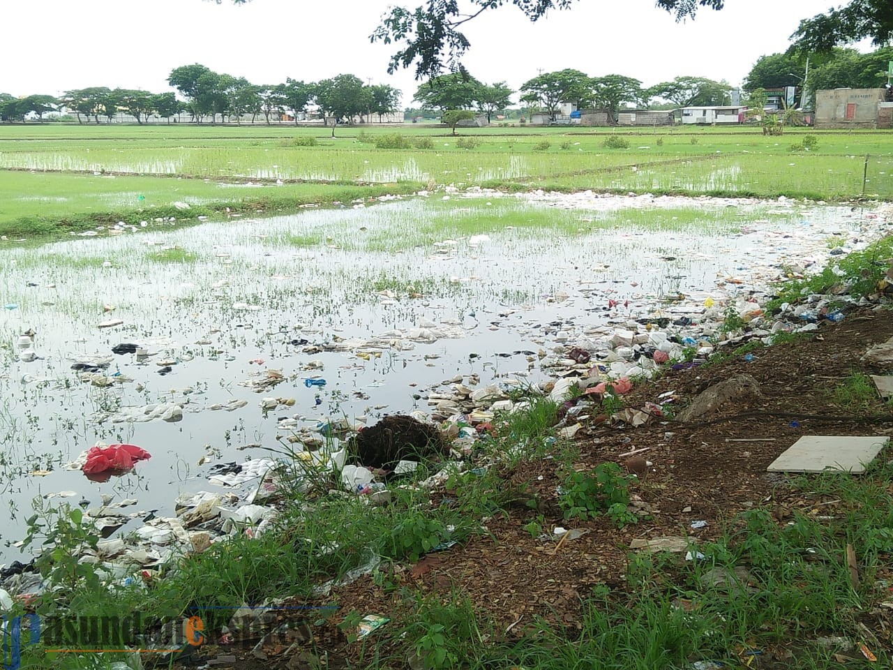 Sampah di Kecamatan Pamanukan