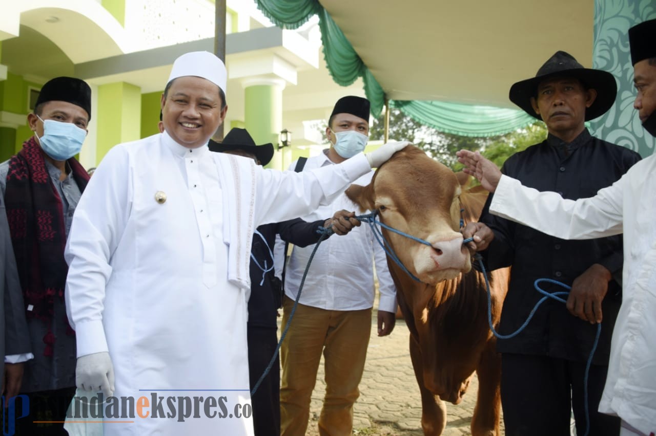 Idul Adha di Cipeundeuy, Wagub Jabar Serahkan Hewan Kurban dan Sembako