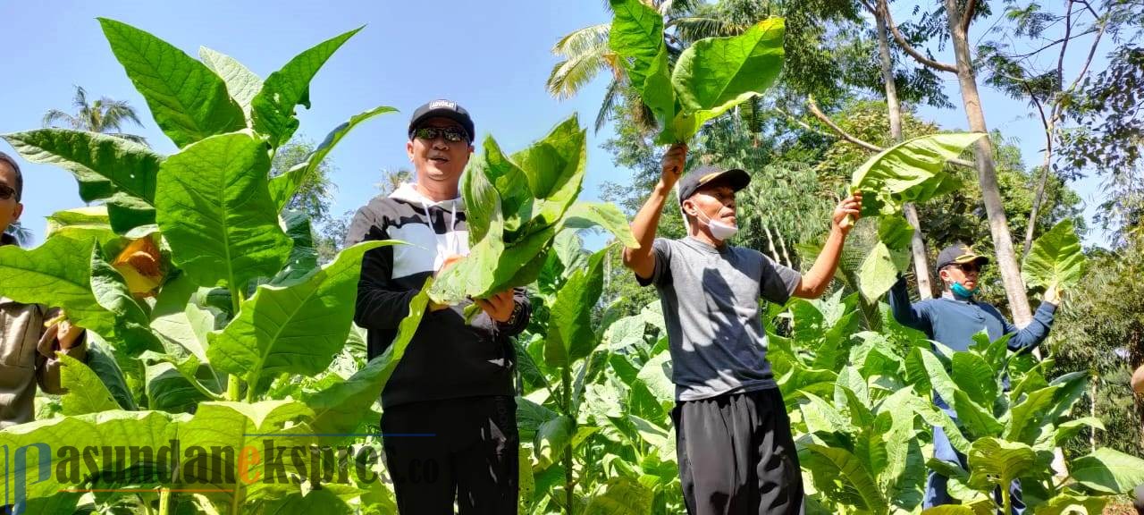 Apindo Subang Siap Bantu Usaha UMKM