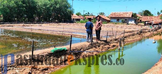 DKP Segara Luncurkan Aplikasi Ikan Nila