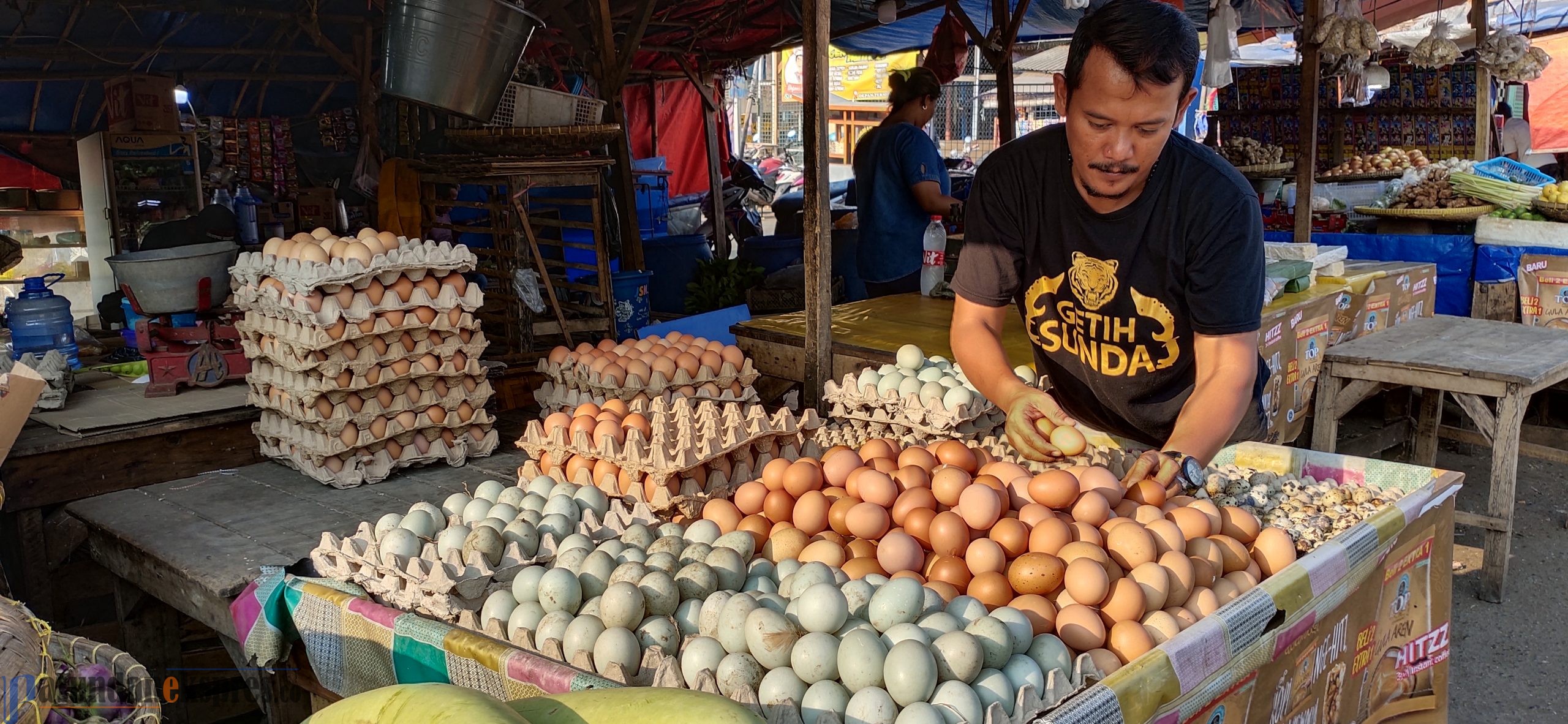 Harga Telur Berangsur Normal