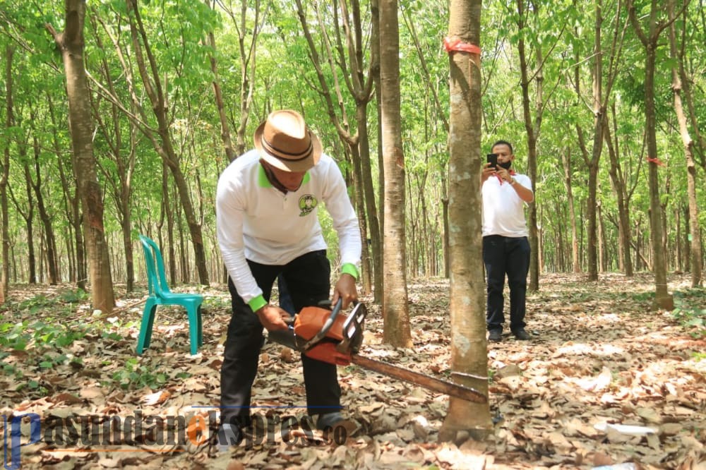 Ruhimat: Jalur Cipendeuy Serangpanjang Segera Selesai