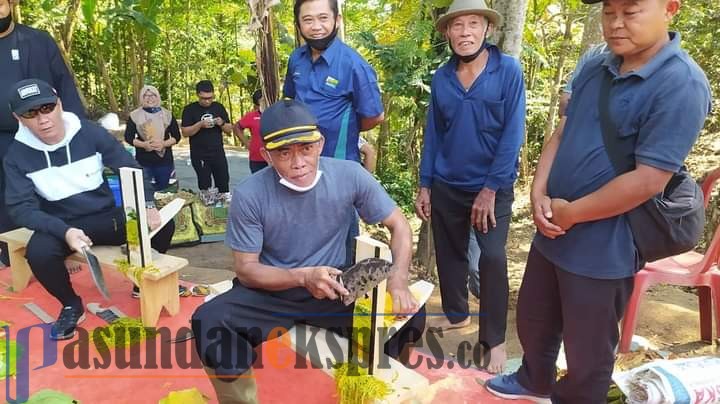 Bupati Subang Panen Perdana Tembakau