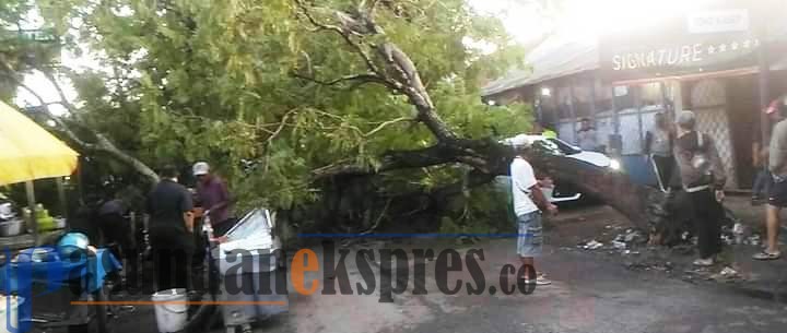 Masuki Musim Hujan, PUPR Pangkas Pohon Rawan Tumbang