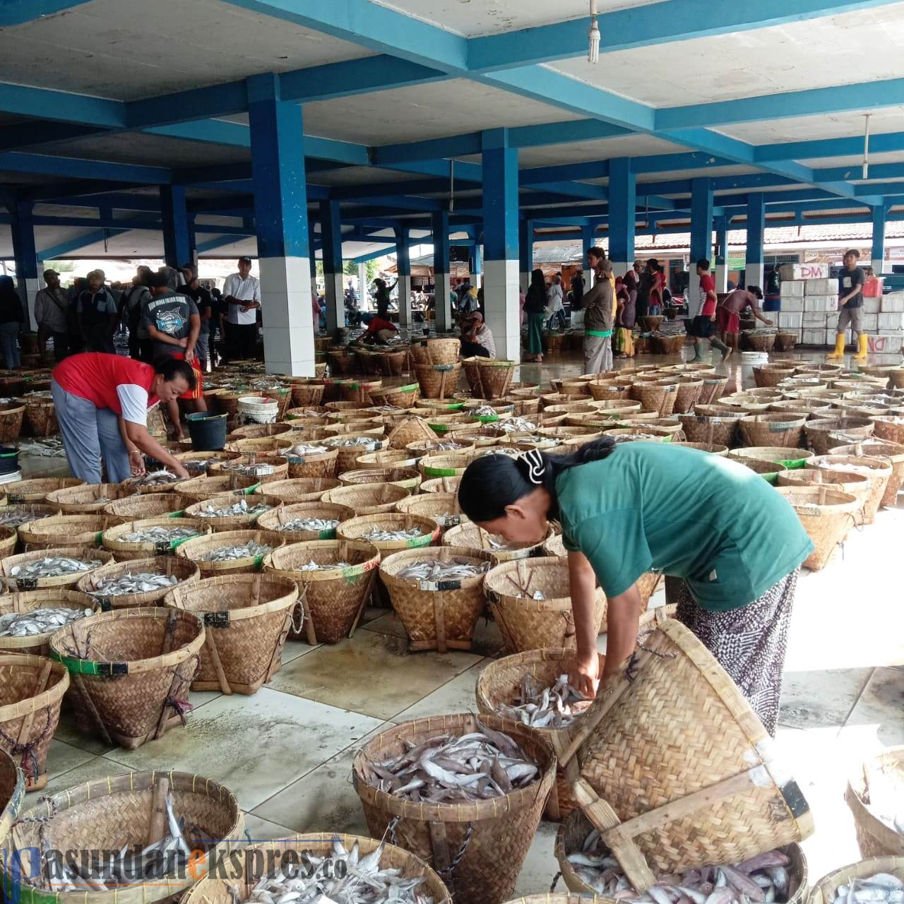 Produksi Ikan Kembali Normal